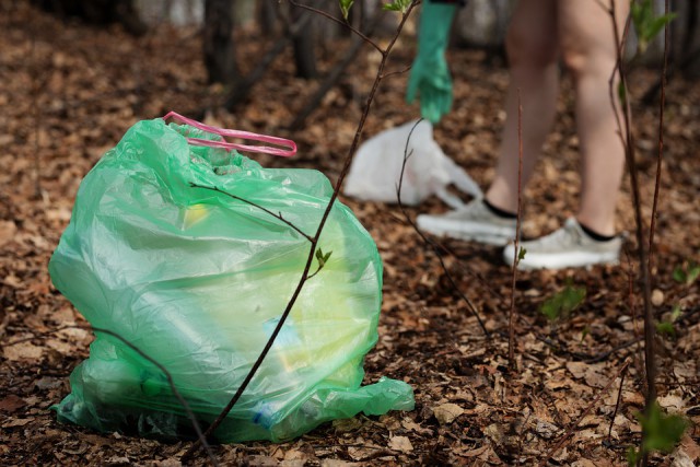 В Калининградской области планируют выпускать пластиковые пакеты