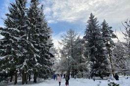 «Полярное вторжение»: синоптики прогнозируют сильные морозы в Калининградской области