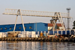 В порту Калининграда задержали 56 тонн конины из Уругвая