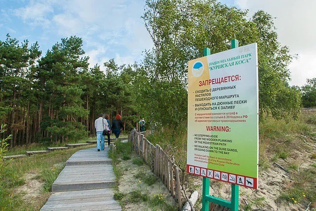 Посетителей Куршской косы в 2022 году оштрафовали на 1,2 млн рублей