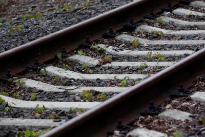 Стоимость билетов на поезда из Калининграда до Москвы и Санкт-Петербурга снизили на 20%