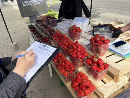 В Калининграде провели рейд по точкам нелегальной торговли ягодами (фото)