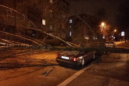 «Упавшие деревья, повреждённые машины и сломанная лоджия»: последствия ночного шторма в Калининграде