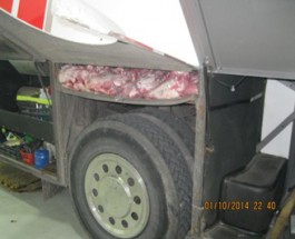 Пассажир рейсового автобуса пытался провезти в Калининградскую область 1,6 тонны свинины