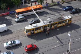 Полосы для общественного транспорта в Калининграде выделят в феврале