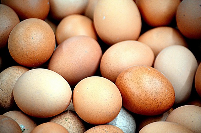 В Калининградскую область не пустили 220 тысяч куриных яиц из Германии