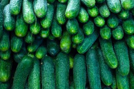 Калининградстат: За месяц сильнее всего в регионе подорожали огурцы, перцы и капуста