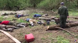 В Зеленоградском округе полиция задержала семерых чёрных копателей с 2,5 кг янтаря (видео)