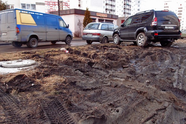 В Калининградской области хотят ввести штрафы за парковку на газонах