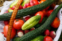Центробанк: Из-за тёплого мая в Калининградской области подешевели овощи