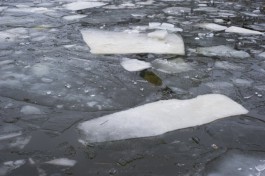 МЧС: Из-за усиления ветра ожидается подвижка льда на Калининградском и Куршском заливах