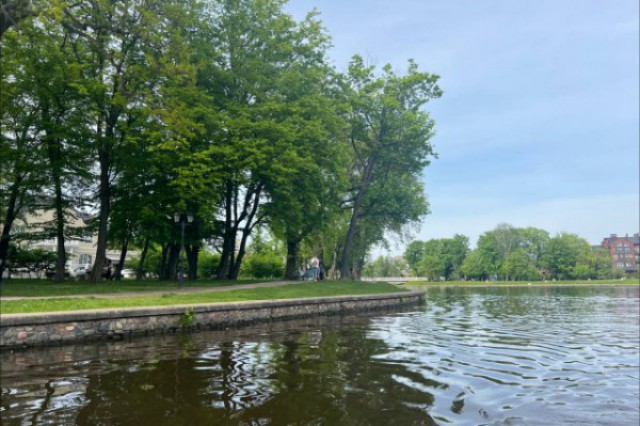 Синоптики прогнозируют до +21°C на рабочей неделе в Калининградской области 