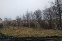Для строительства корпуса школы №46 на улице Летней разрешили вырубить 142 дерева