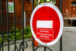 В Калининградской области зарегистрировали 12 новых случаев коронавируса, выписали 56 человек