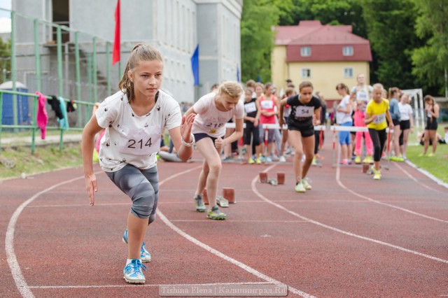 Барьерный бег»: в Калининграде провели легкоатлетические старты на призы Татьяны Зеленцовой
