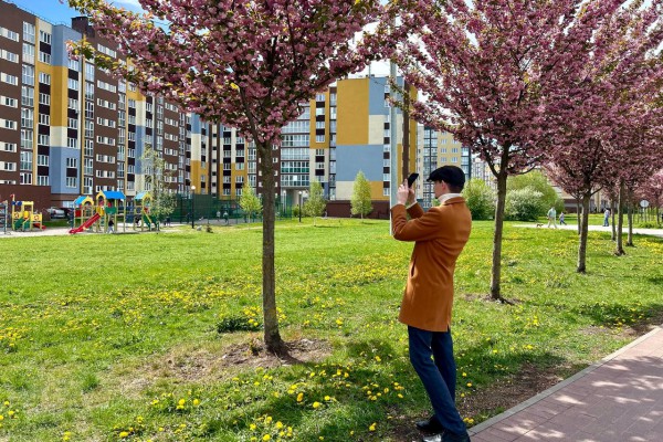 «Майские краски»: как выглядит цветущий Калининград (фото)