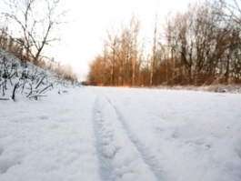 Польские метеорологи прогнозируют самую холодную зиму за последнее тысячелетие