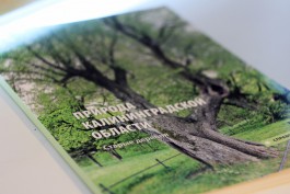 «Памятники живой природы»: в Калининграде представили книгу о старых деревьях региона (фото)