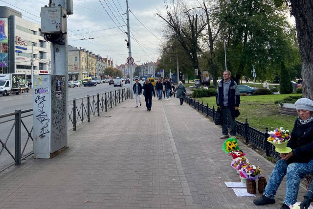 Рядом с памятником «Мать-Россия» в Калининграде планируют вырубить четыре сахарных клёна