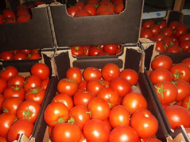 В Калининградскую область не пустили 20 тонн волгоградских томатов