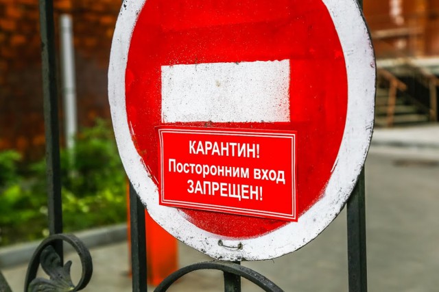 Число случаев коронавируса в Калининградской области превысило 3500