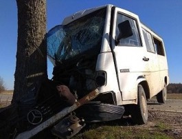В Багратионовском округе пьяный водитель без прав врезался в дерево на «Мерседесе»