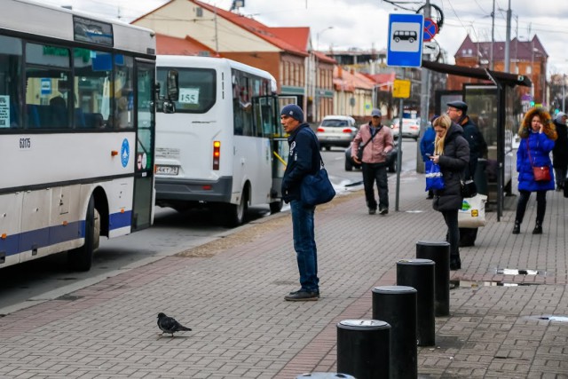 В Калининграде часть автобусов и маршруток не выходят на линию из-за коронавируса у водителей