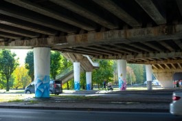 Под эстакадным мостом в Калининграде установят сетку для защиты пешеходов