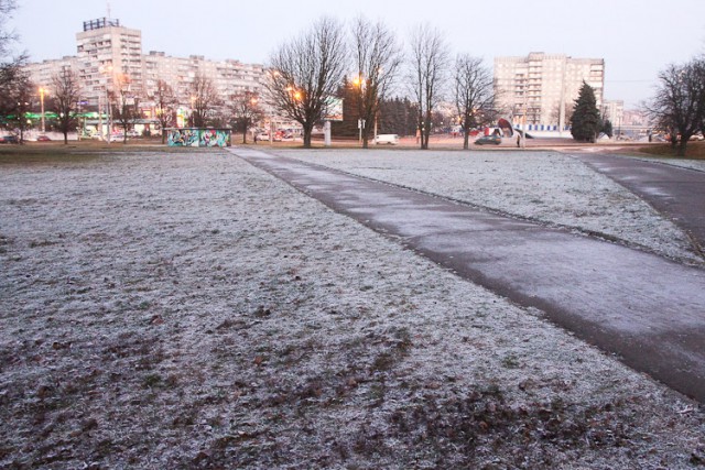 Синоптики прогнозируют заморозки в последние осенние выходные в Калининграде