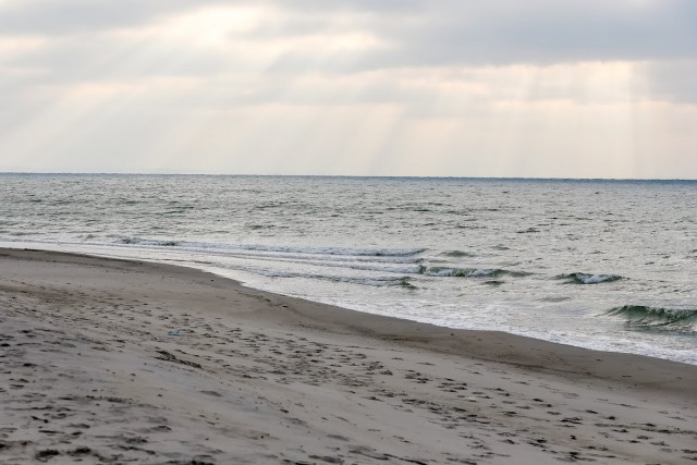 На пляже в районе Балтийска нашли тело дайвера, пропавшего в октябре 2021 года
