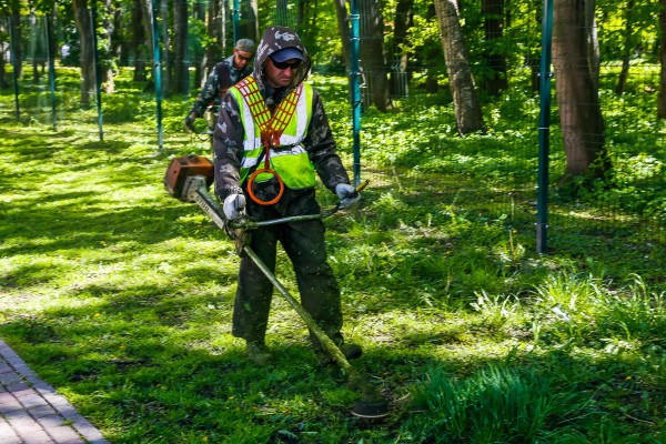 «Без „лысых” газонов и побелки»: в Калининграде подготовили изменения в правила благоустройства