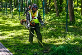 &laquo;Без &bdquo;лысых&rdquo; газонов и побелки&raquo;: в Калининграде подготовили изменения в правила благоустройства
