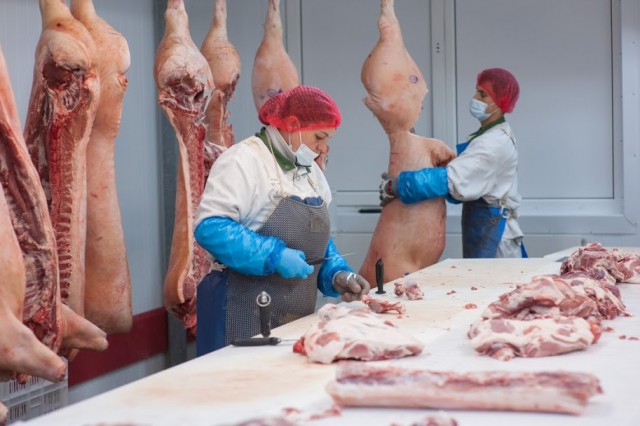 На Камчатке уничтожили партию калининградской свинины с АЧС
