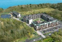  Для строительства комплекса апартаментов со спа под Светлогорском разрешили вырубить 664 дерева