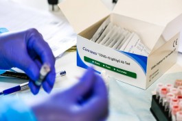 В Калининградской области выявили 27 новых случаев коронавируса