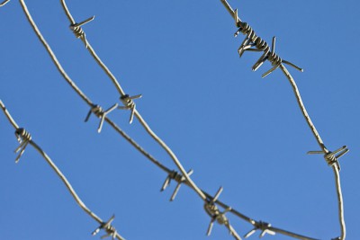 Жителя области приговорили к двум годам тюрьмы за угон машины у знакомого