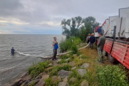 В Куршский залив выпустили 500 тысяч мальков сига