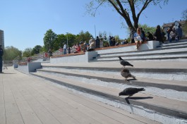 Для Летнего озера в Калининграде закупают три четырёхметровые качели