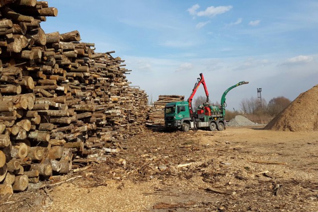 Калининградская область начала экспорт древесной щепы в Данию