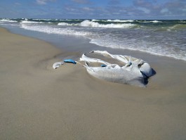 В Литве волны выбросили на пляжи Куршской косы строительные мешки