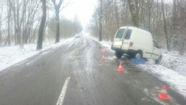 Под Калининградом «Фольксваген» врезался в дерево: погиб 55-летний водитель