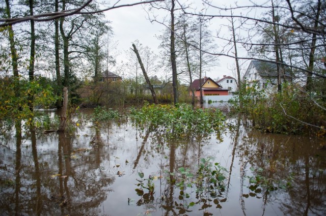 Крупин: Около 15% территории Калининграда занимают водоёмы