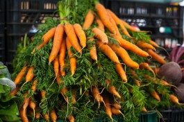 Экспорт агропродукции из Калининградской области вырос на 13%