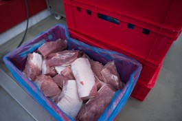 Из-за АЧС в центре Калининграда запретят продавать свинину на ярмарках