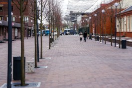 Дятлова: Не планируем увеличивать в Калининграде число пешеходных зон