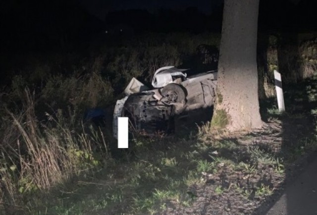 В Зеленоградском округе «Пежо» врезался в дерево: погиб 23-летний водитель