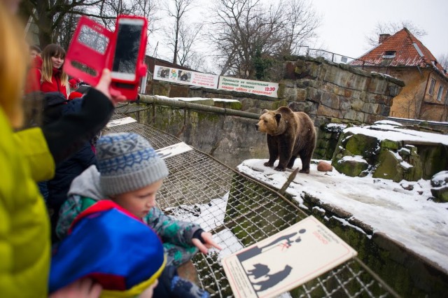 В 2018 году калининградский зоопарк посетило более 450 тысяч человек