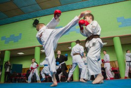 «Больше ударов»: в Калининграде прошёл семинар обладателя чёрного пояса по карате (фото)