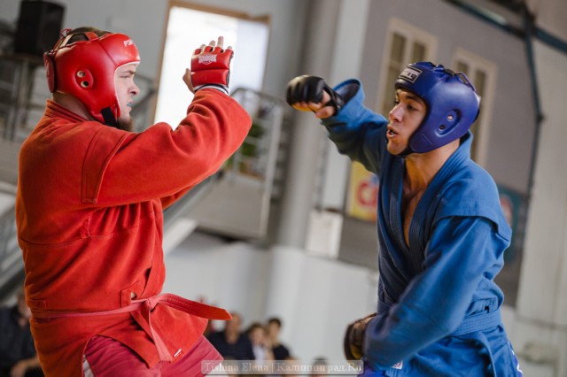 «Майское самбо»: в калининградском турнире выступило 60 борцов (фото)