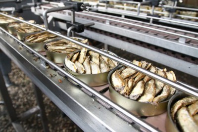 Рыбопромышленники: За счёт литовского транзита наша продукция неконкурентоспособна